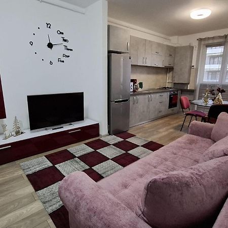 Ludi House Apartment Târgu-Mureş Екстериор снимка