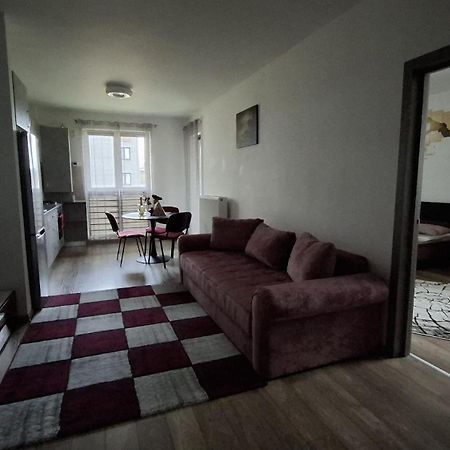 Ludi House Apartment Târgu-Mureş Екстериор снимка
