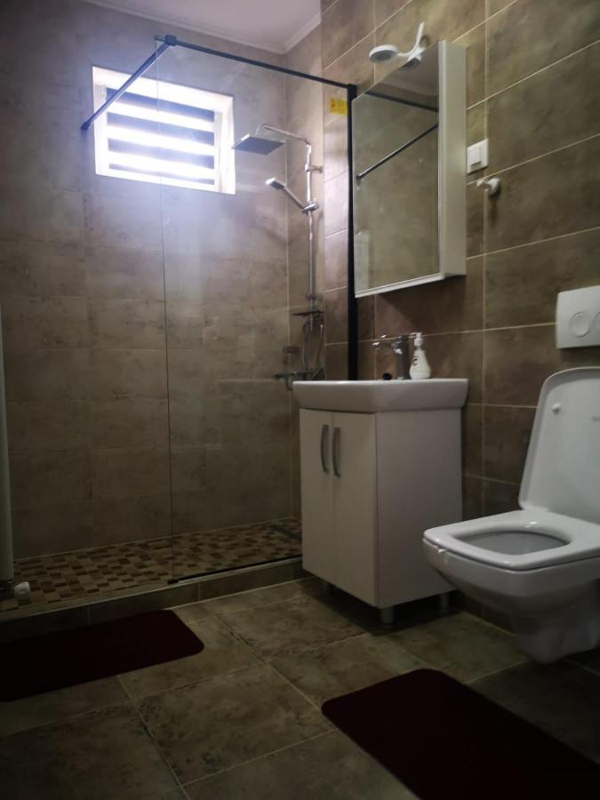 Ludi House Apartment Târgu-Mureş Екстериор снимка