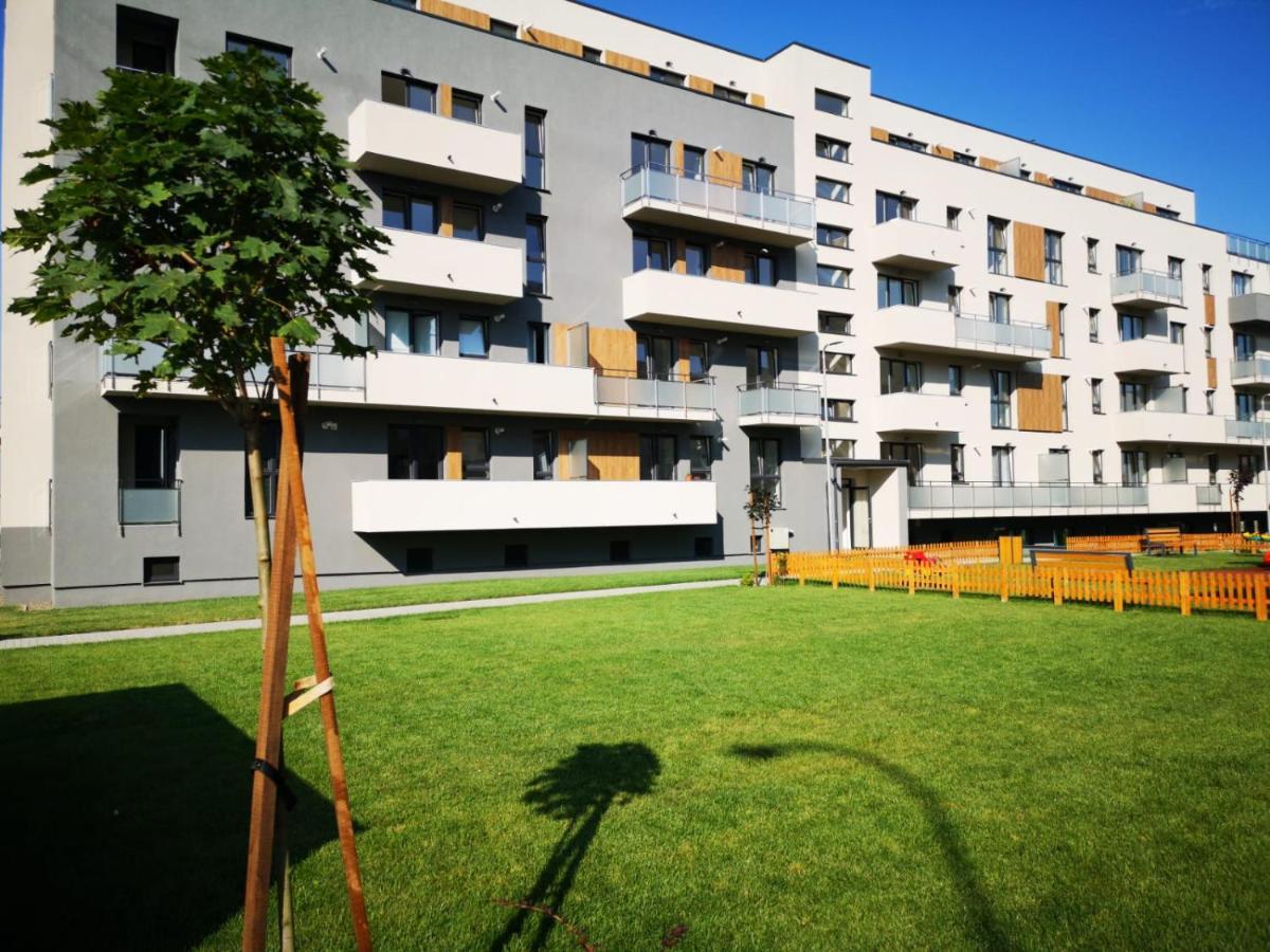 Ludi House Apartment Târgu-Mureş Екстериор снимка