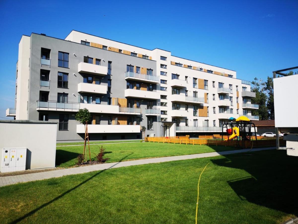 Ludi House Apartment Târgu-Mureş Екстериор снимка