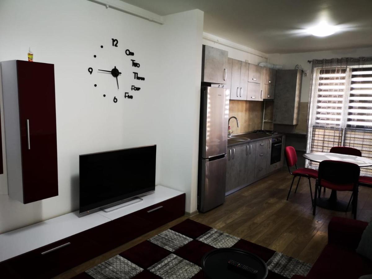 Ludi House Apartment Târgu-Mureş Екстериор снимка