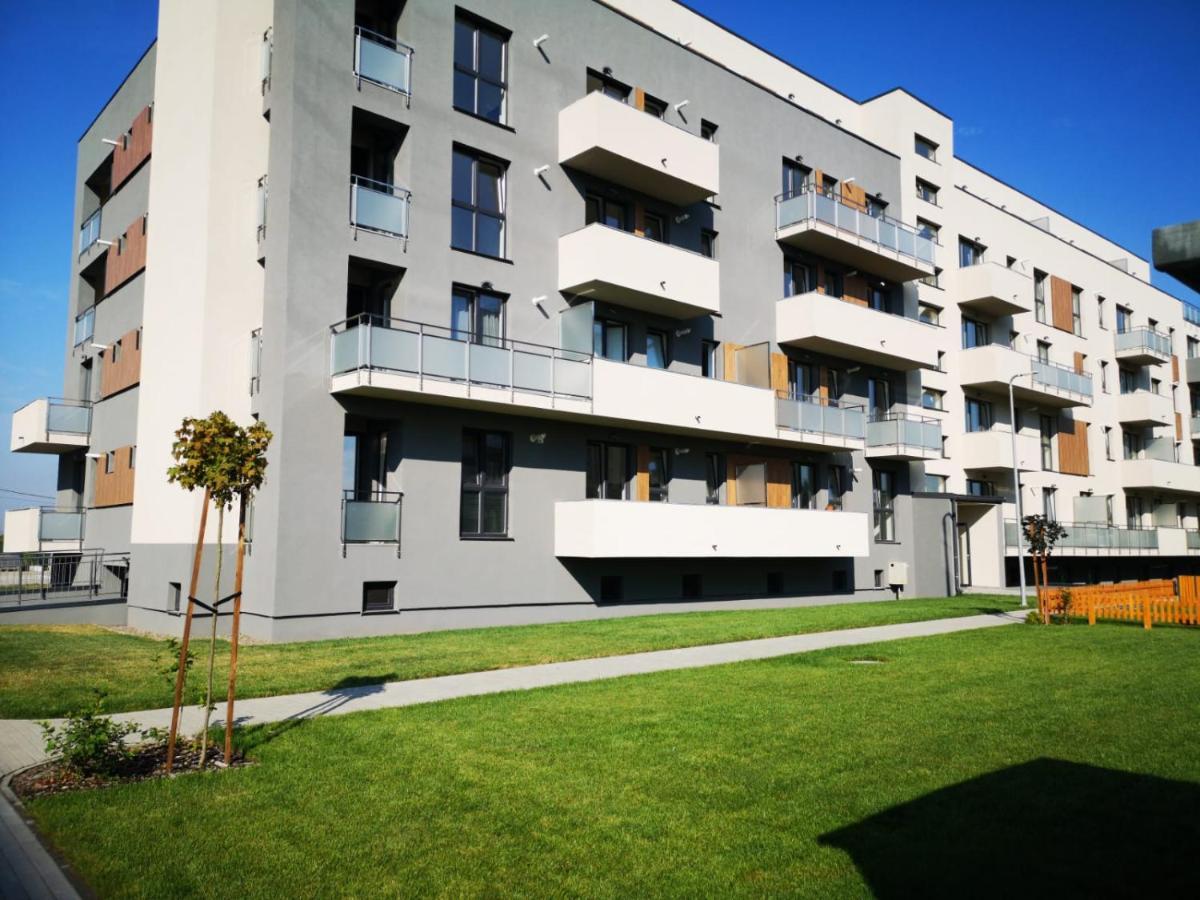 Ludi House Apartment Târgu-Mureş Екстериор снимка