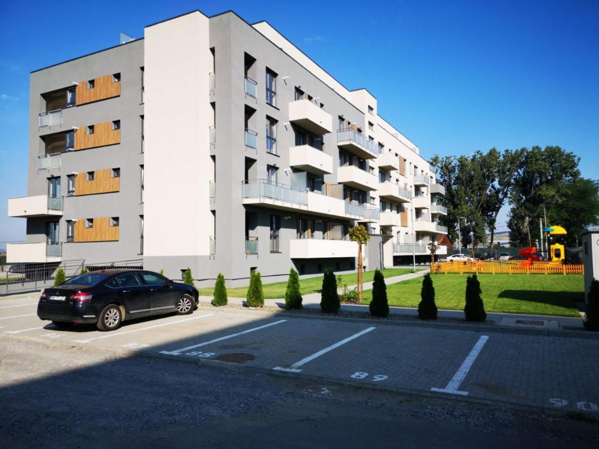 Ludi House Apartment Târgu-Mureş Екстериор снимка