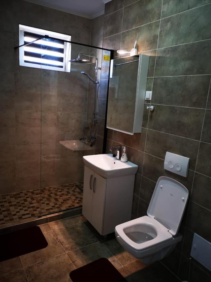 Ludi House Apartment Târgu-Mureş Екстериор снимка