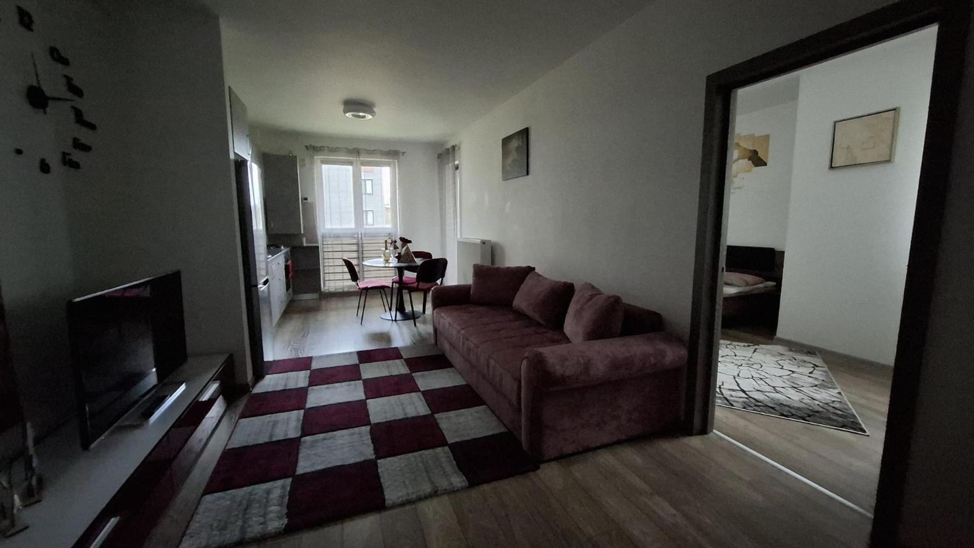 Ludi House Apartment Târgu-Mureş Екстериор снимка
